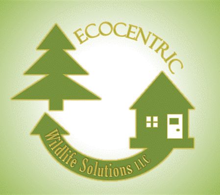 Ecocentric Wildlife Solutions LLC